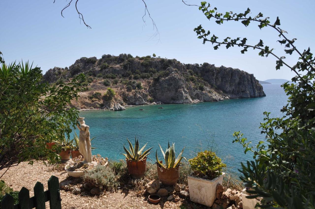 Lalezas Studios Tolo Luaran gambar